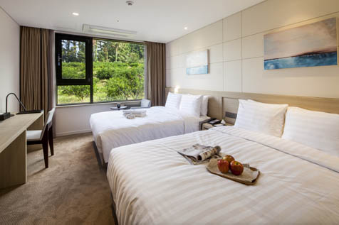 디럭스패밀리[DF]