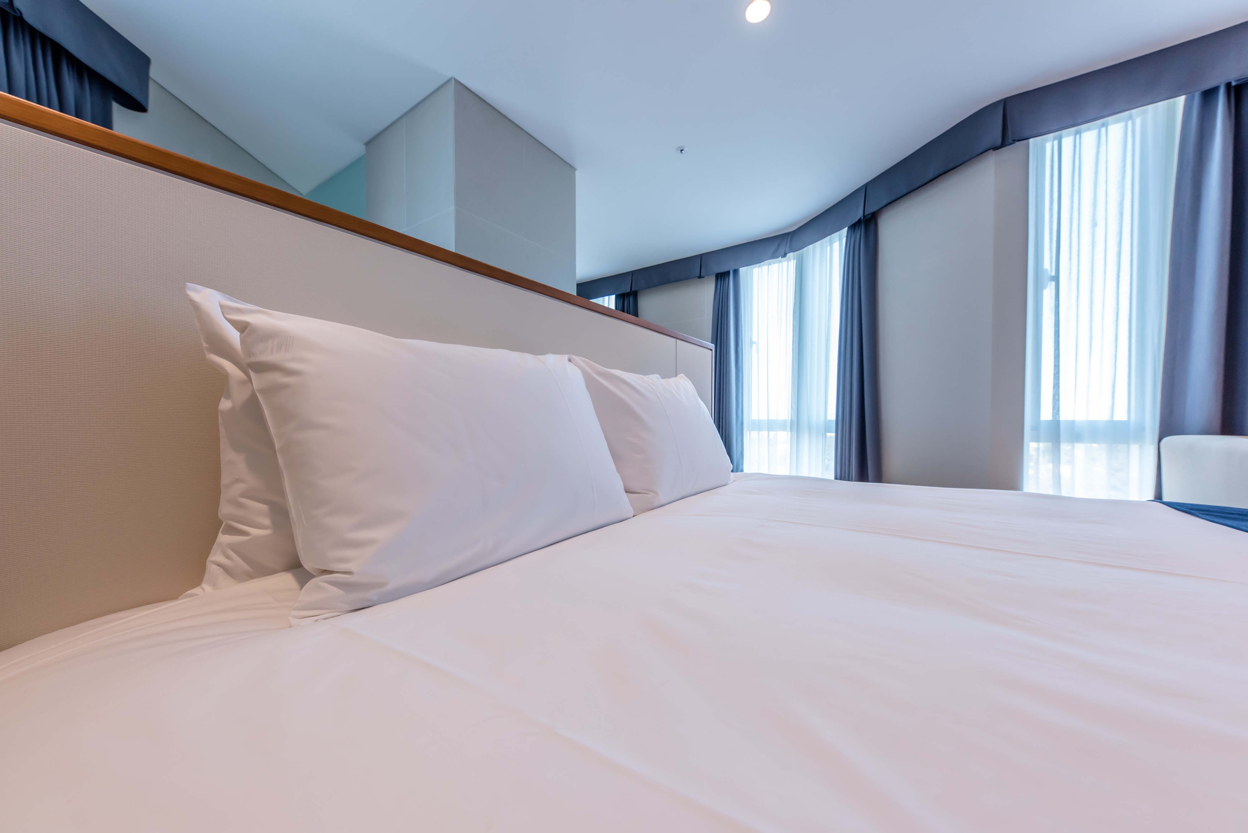 시리우스스위트 킹